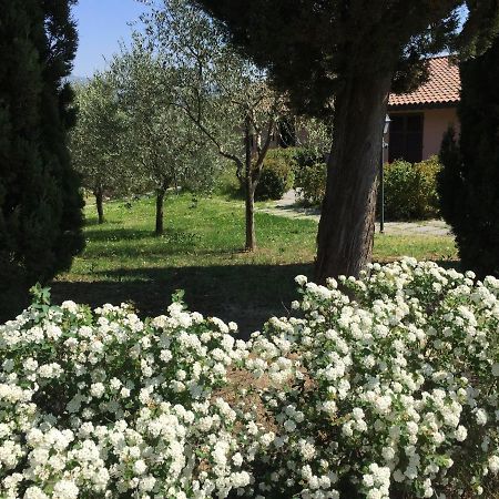 Villa Il Principino Country Resort 빈치 외부 사진