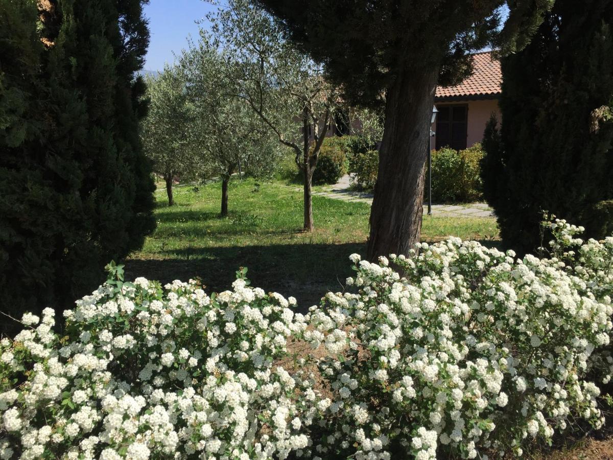 Villa Il Principino Country Resort 빈치 외부 사진