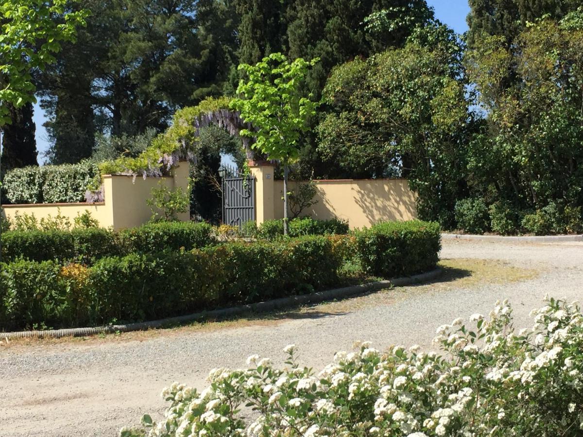 Villa Il Principino Country Resort 빈치 외부 사진